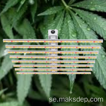 6400K LED Grow Light Green Custom